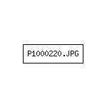 P1000220.JPG